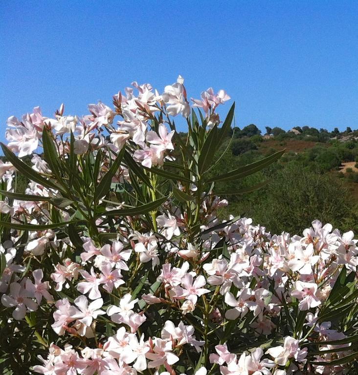 Le Tre Pietre Villa Baja Sardinia Eksteriør billede